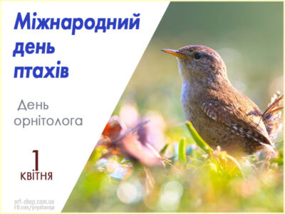 З Днем орнітолога
