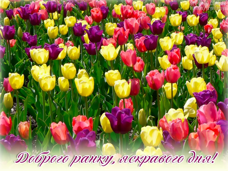 открытки добрий ранок