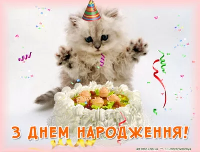 день народження листівка з котиком